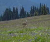 2005 National Olympic Park,US
