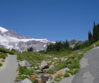 2005 Mt.Rainier